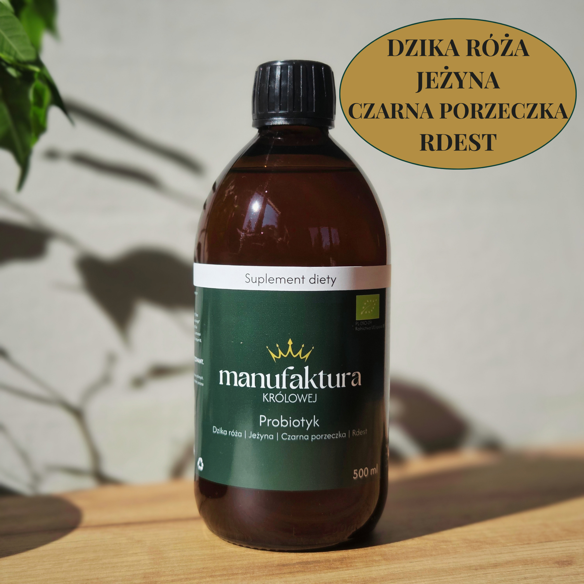 Probiotyk - Dzika róża, Jeżyna, Czarna porzeczka, Rdest